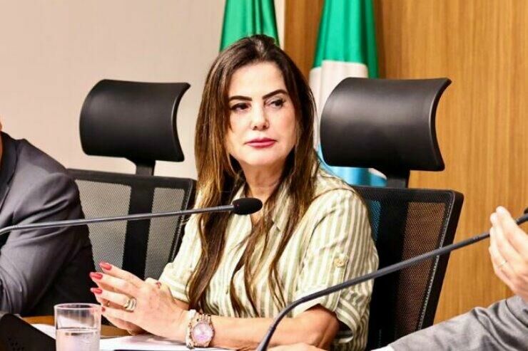 Imagem de compartilhamento para o artigo Mara Caseiro pede a ampliação da ponte sobre Rio Indaiá, em Chapadão do Sul da MS Todo dia